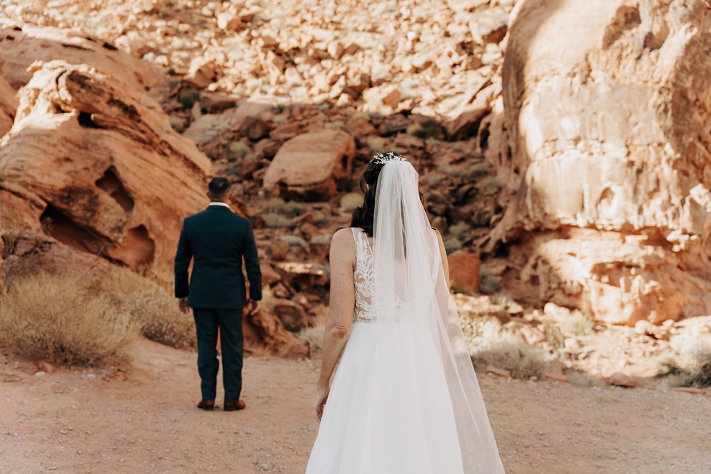 valley of fire wedding 