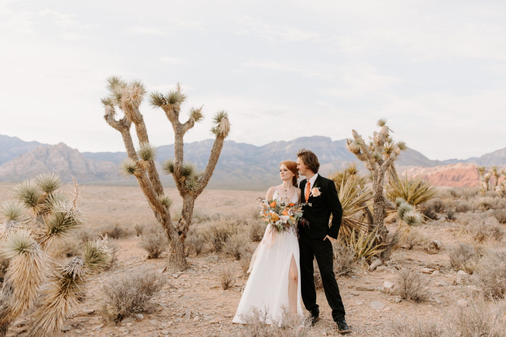 Bride and groom posing next to each other in the middle of Red Rock Canyon Overlook for their wedding shoot with Emily Reno