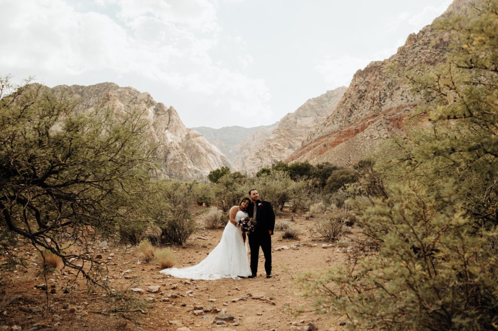 Spring Mountain Ranch Wedding & Elopement. Newlywed couple posing with mountain in the background.