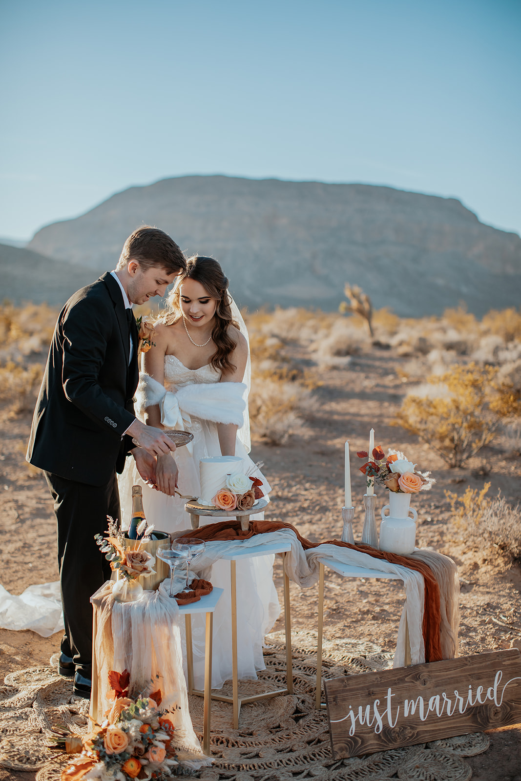 Bride and groom cutting a slice of their wedding cake in the desert in Las Vegas