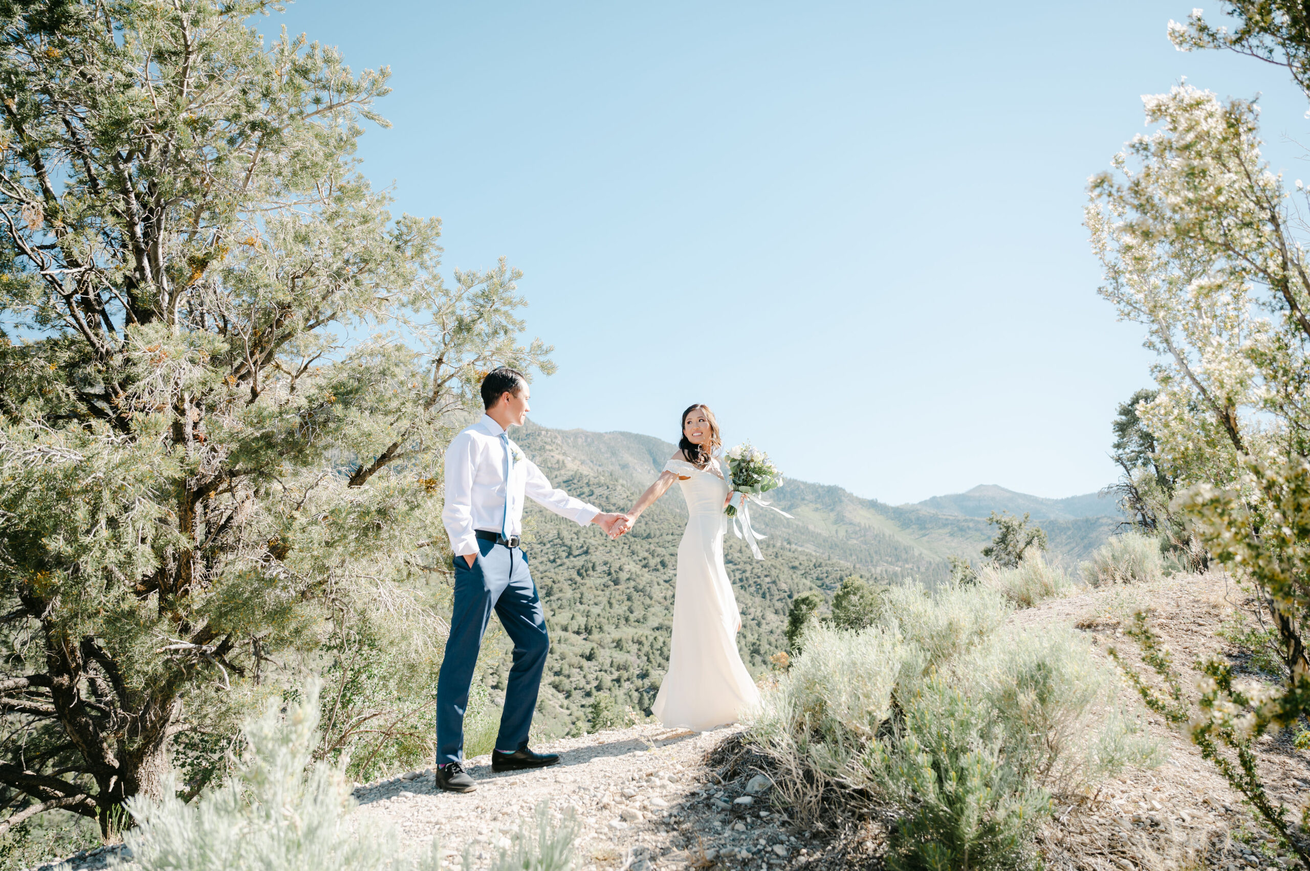 Mount Charleston Wedding: Elopement Packages and Pricing. Bride and groom holding hands during their wedding shoot.