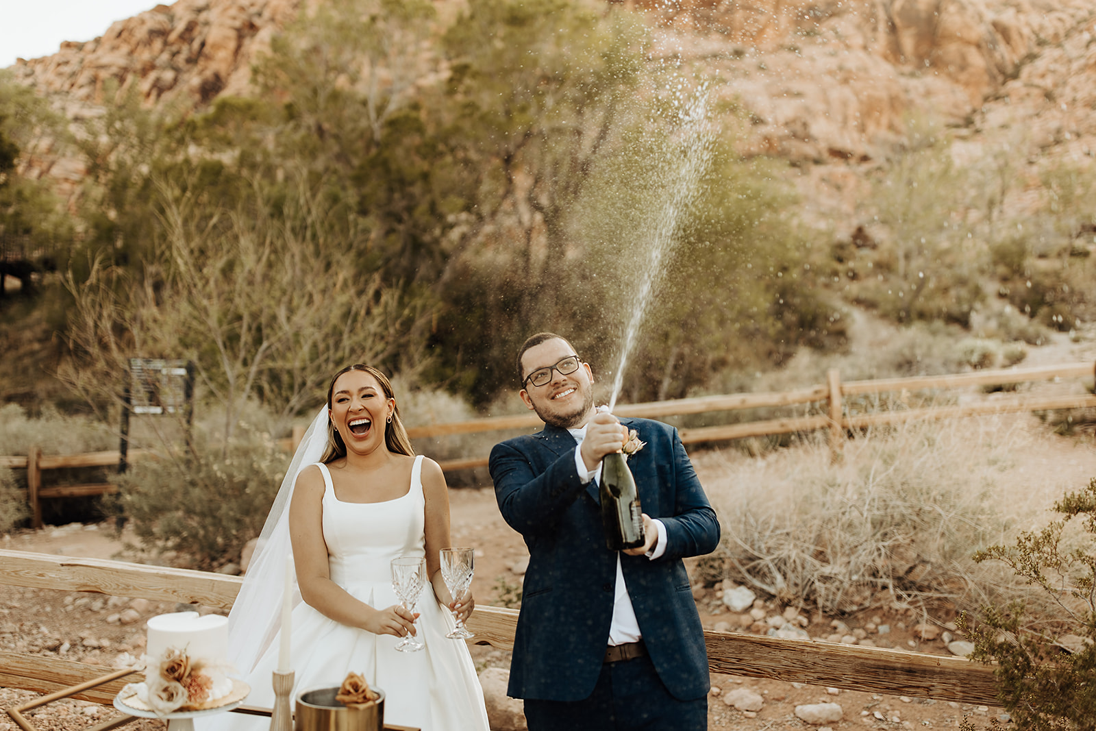 Elopement Las Vegas affordable elopement packages near me