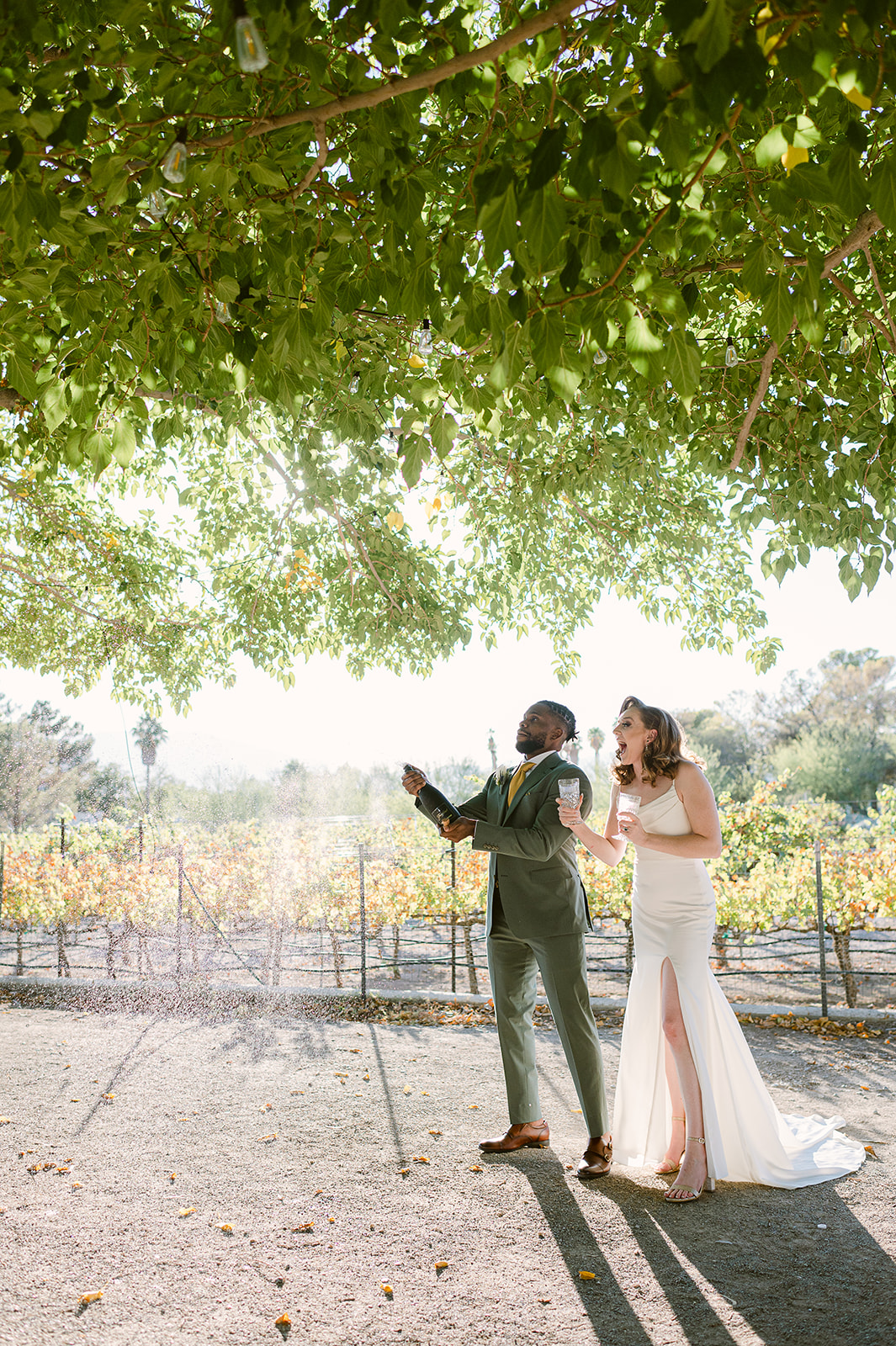 Elopement Las Vegas elopements