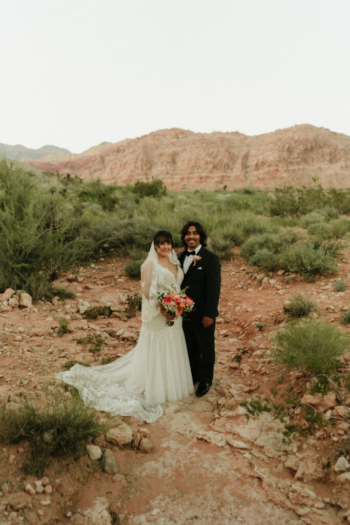red springs boardwalk elopement ceremony calico basin nevada