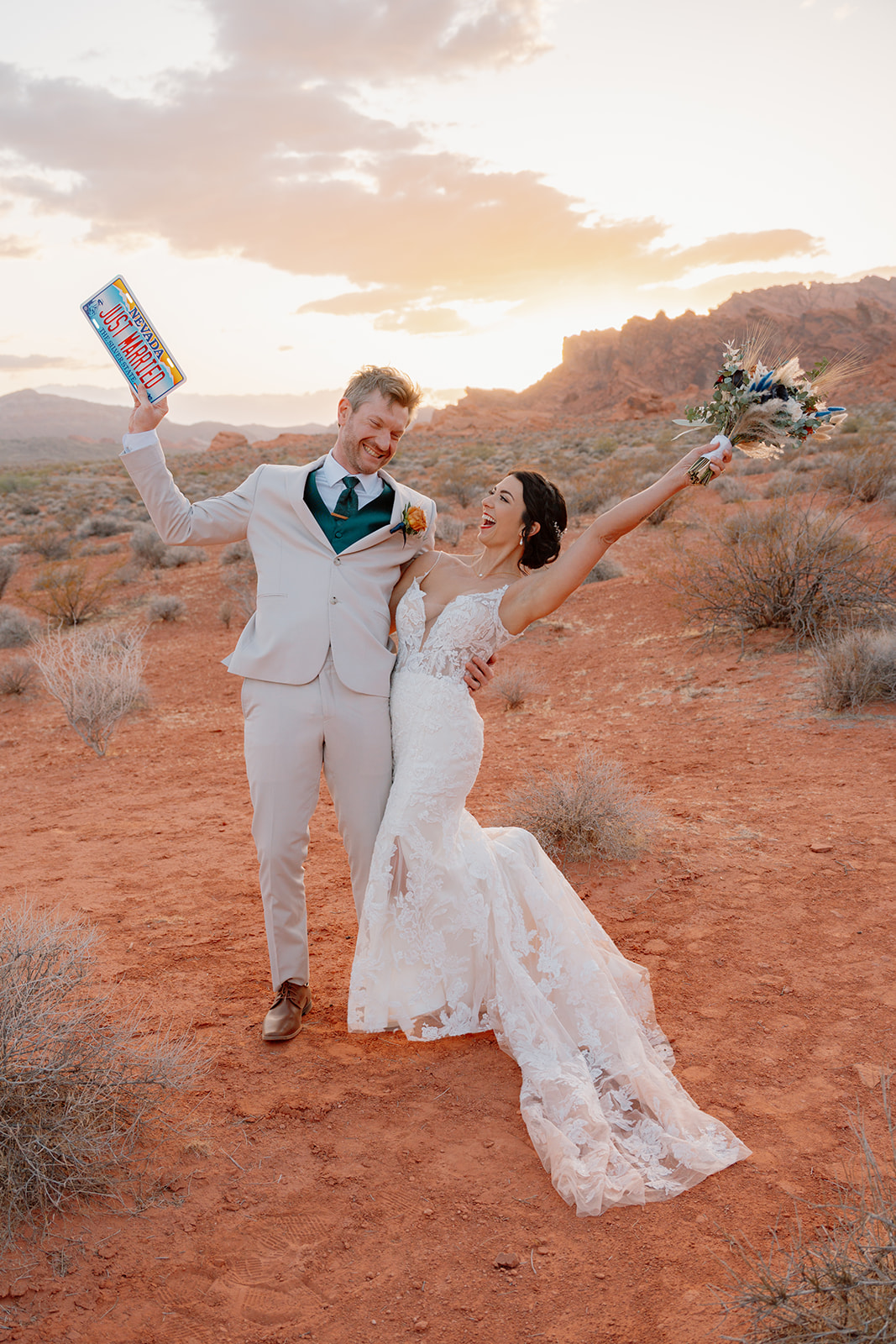 Valley of Fire Las vegas micro-wedding.