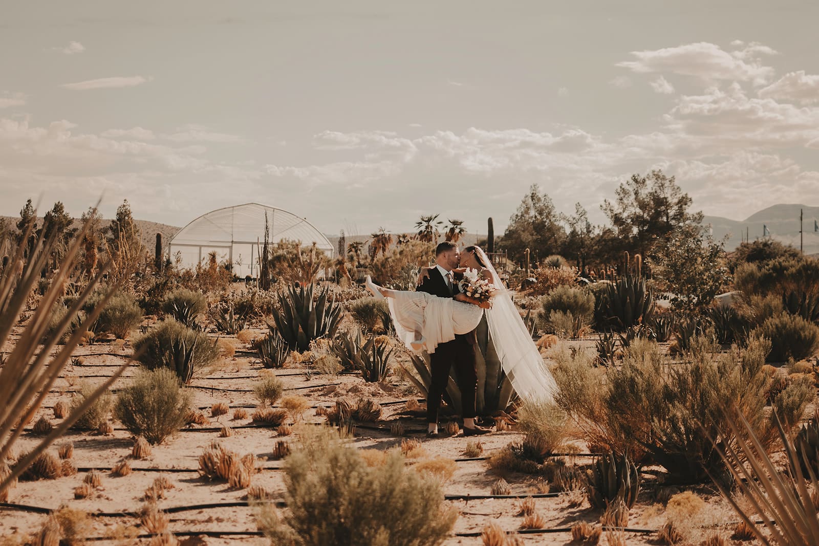 Las Vegas Elopement Locations Popular