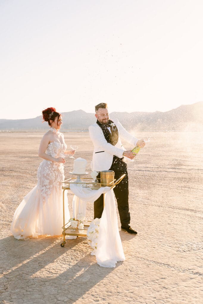 Dry Lake Bed Las Vegas Wedding